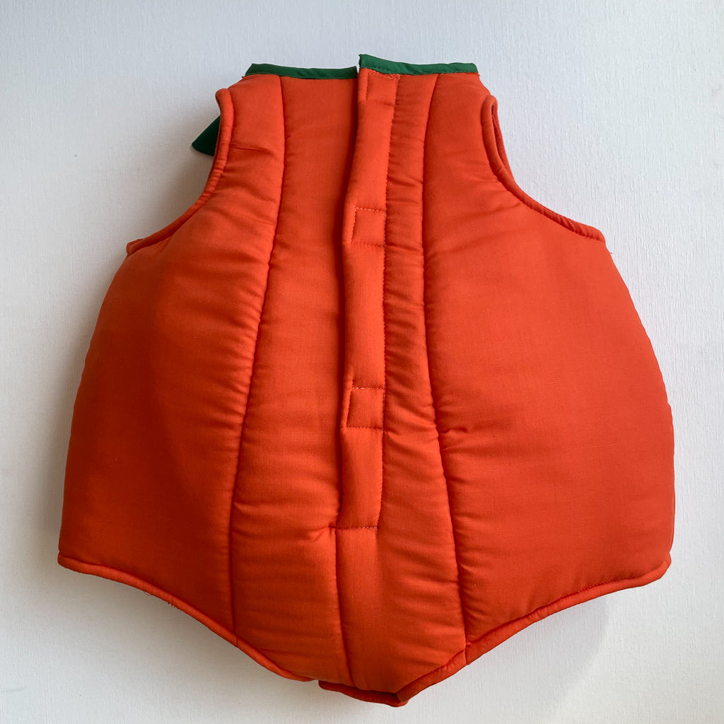 a dress up pumpkin by Hiccups & Buttercups