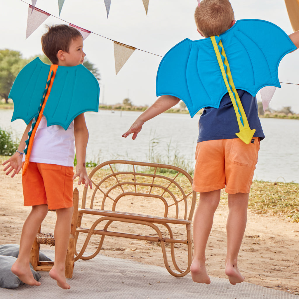 Dress Up Dragon Wing