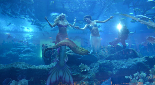 Top 15 activities to do in the UAE during the summer