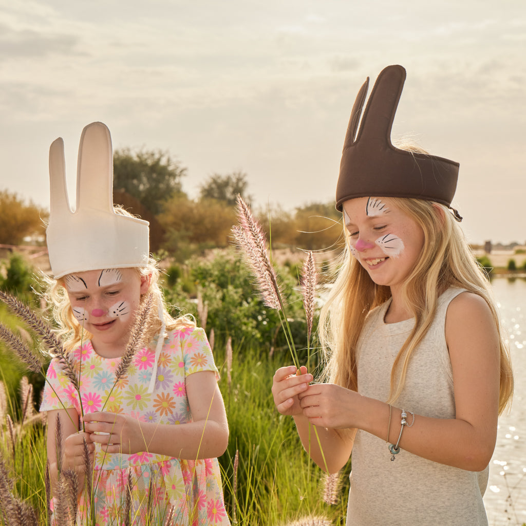Dress-up Bunny Ears