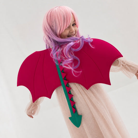 Dress Up Dragon Wing