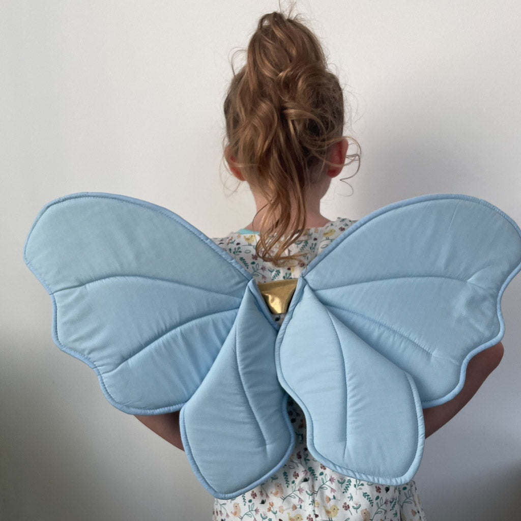 Dress up Fairy Wing