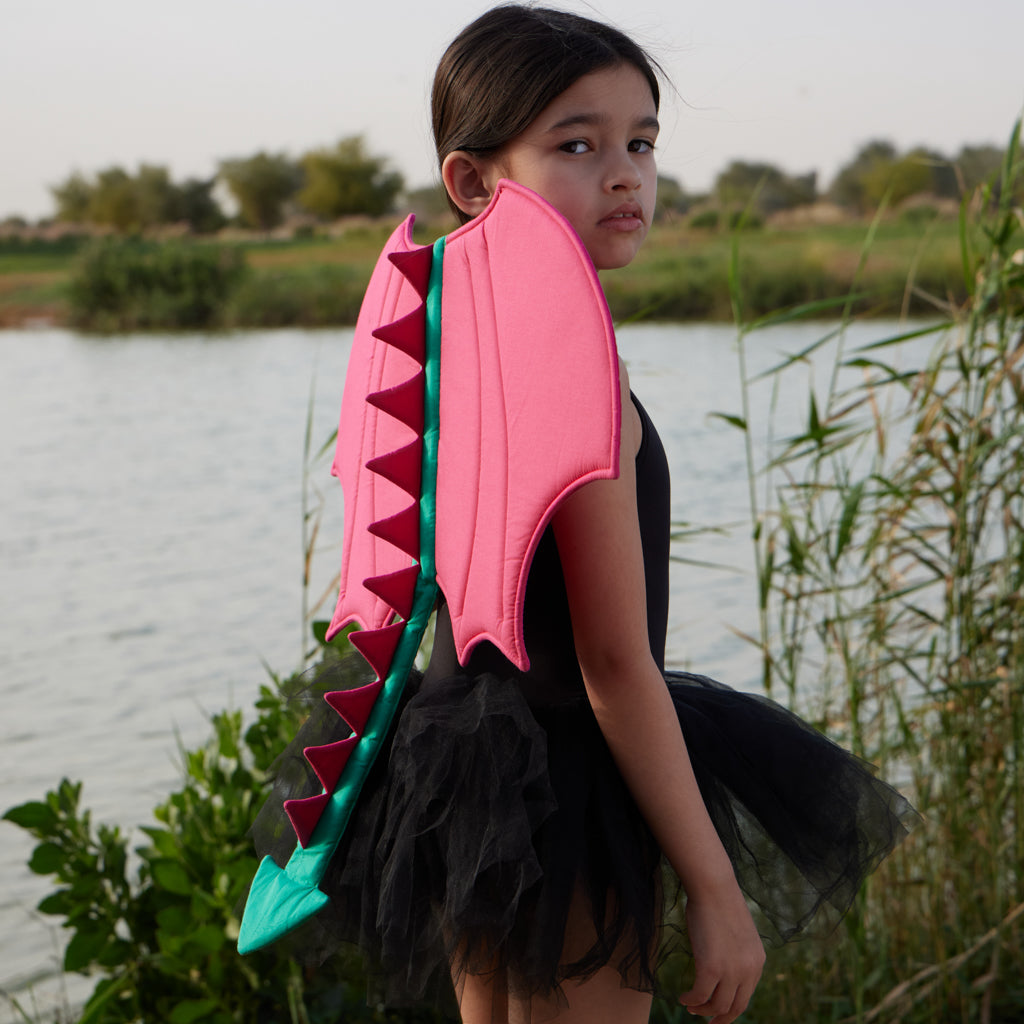 Dress Up Dragon Wing