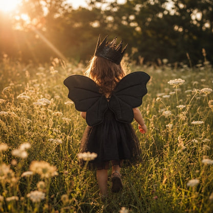 Dress up Fairy Wing